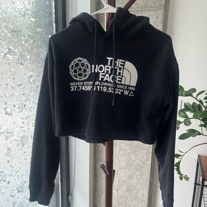 The North Face Coordinates Cropped Hoodie